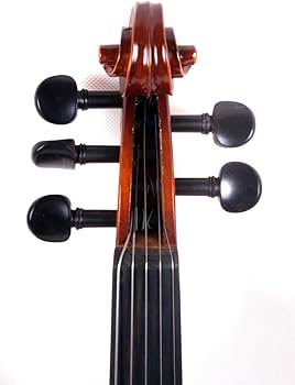 木製 5弦ビオラ Amazon | 5弦 ビオラ 16インチ メープルウッドバック スプルースウッド